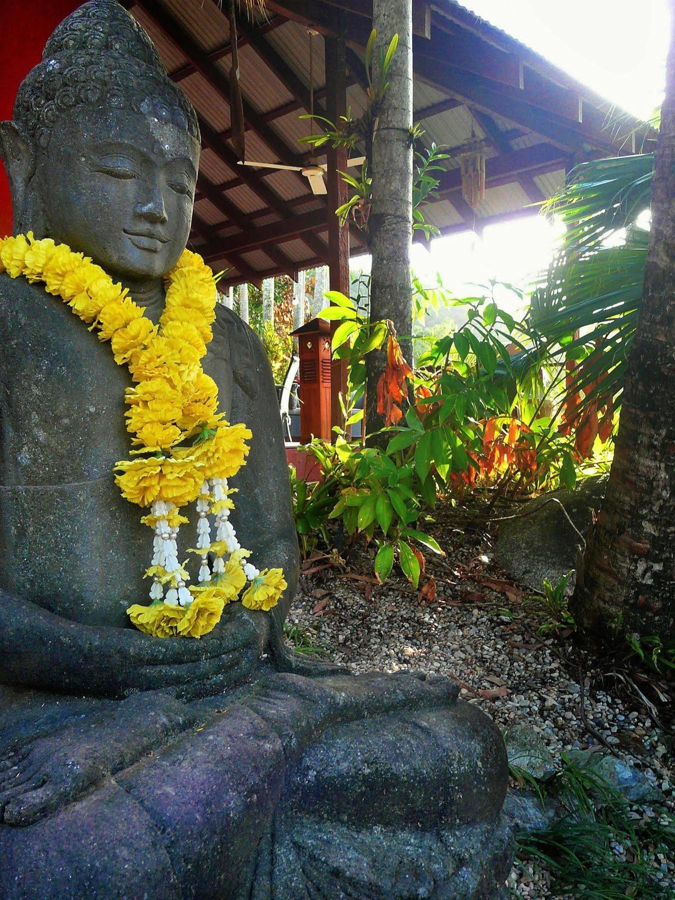 Mai Tai Resort Cassowary Exteriör bild